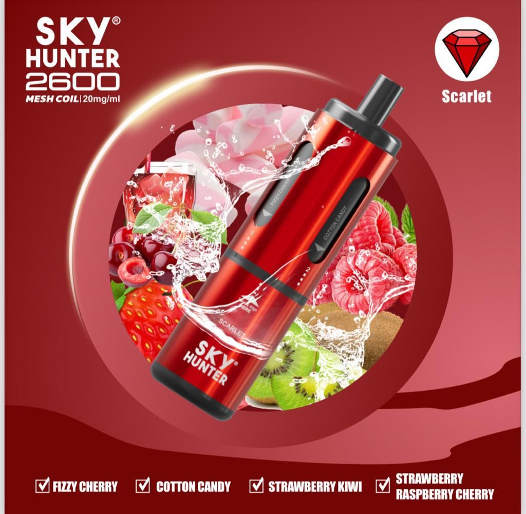 4 in 1 Sky Hunter 2600 Puffs Disposable Vape Box of 5 - Best Vape Wholesale