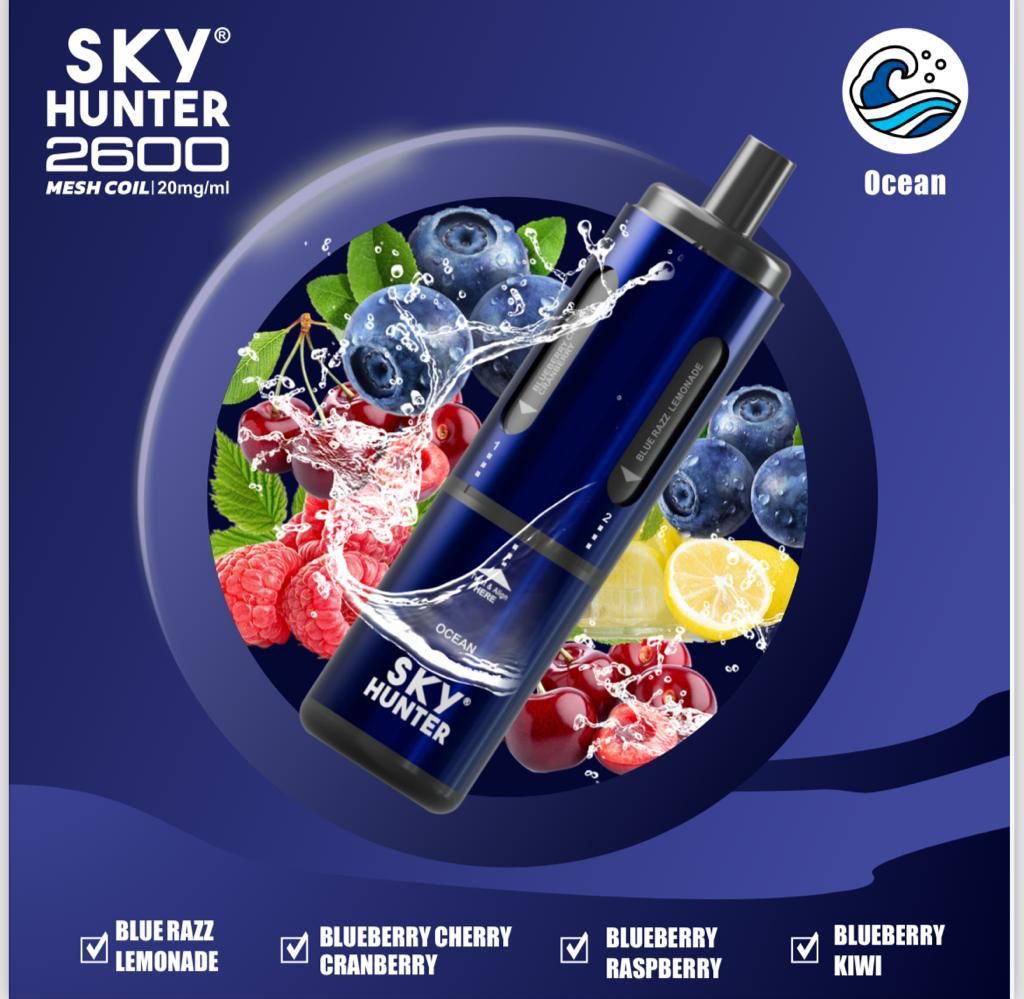 4 in 1 Sky Hunter 2600 Puffs Disposable Vape Box of 5 - Best Vape Wholesale