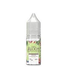 Bloom 10ml Nic Salt (Pack of 10) - Best Vape Wholesale